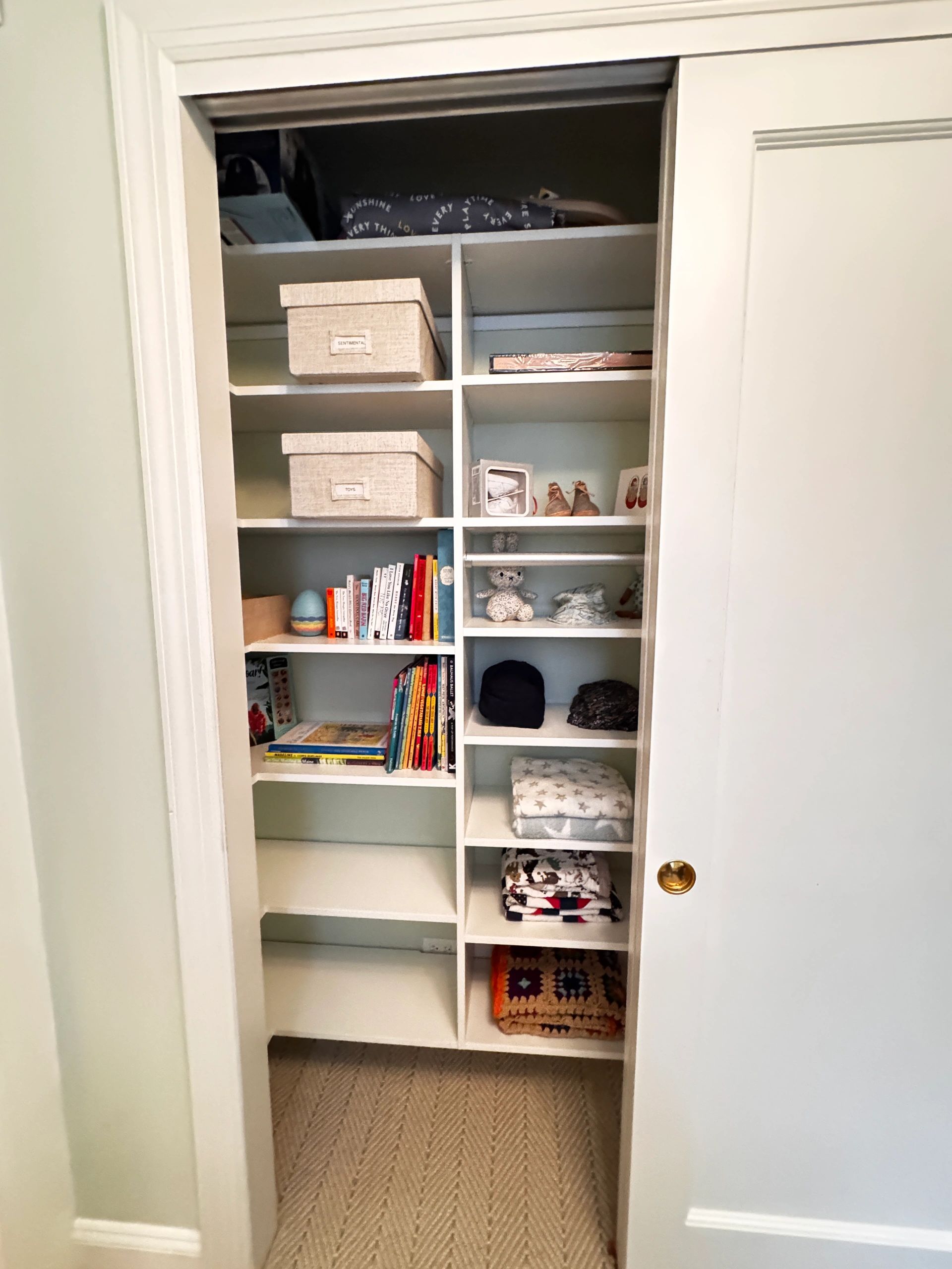 Closet shelving with storage boxes and books